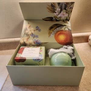 Assorted Tea Gift Set Includes Loose Leaf Tea And Steeping Pot New In box